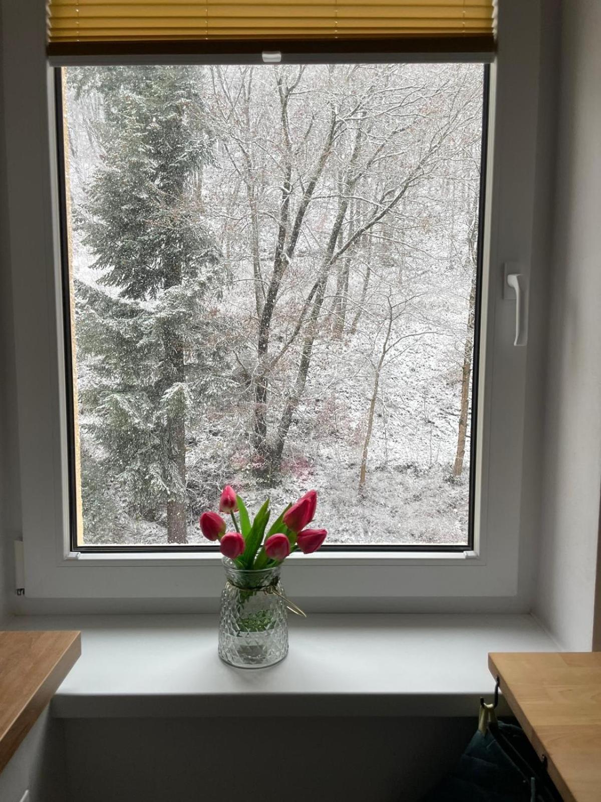 Apartman Claudia - Rezidence K Lanovce Jachymov Bagian luar foto
